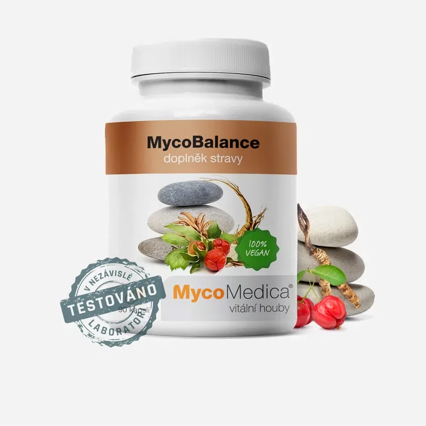 MycoBalance 90 tabliet