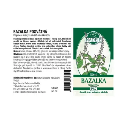 Náděje - Podhorná Bazalka posvätná tinktúra z púčikov