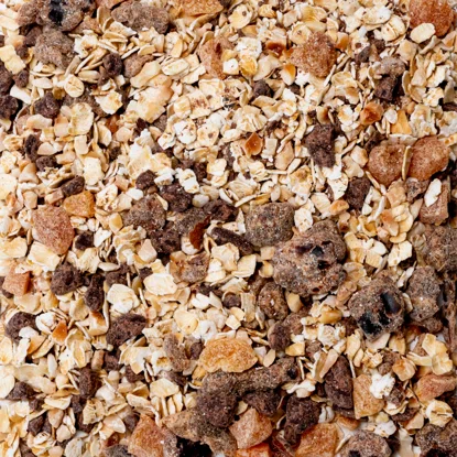 Ovsené kaše horká čokoláda a lieskové orechy