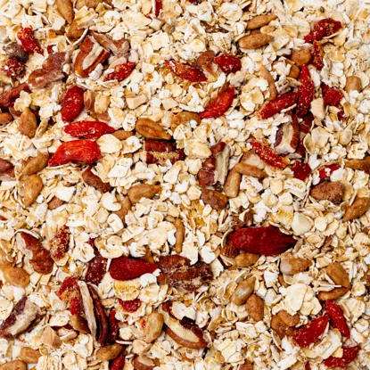 Ovsené kaše orechy a semienka