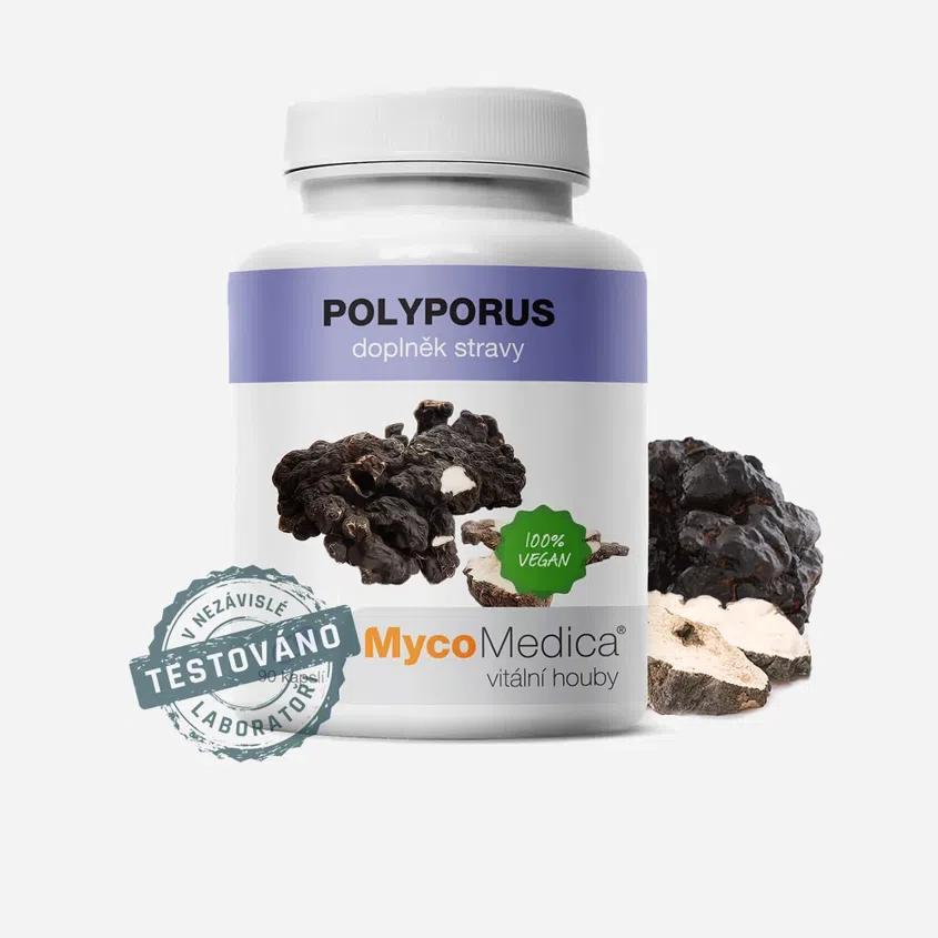 Polyporus 90 tabliet