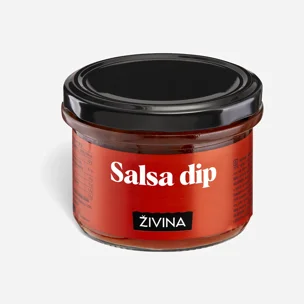 Salsa dip