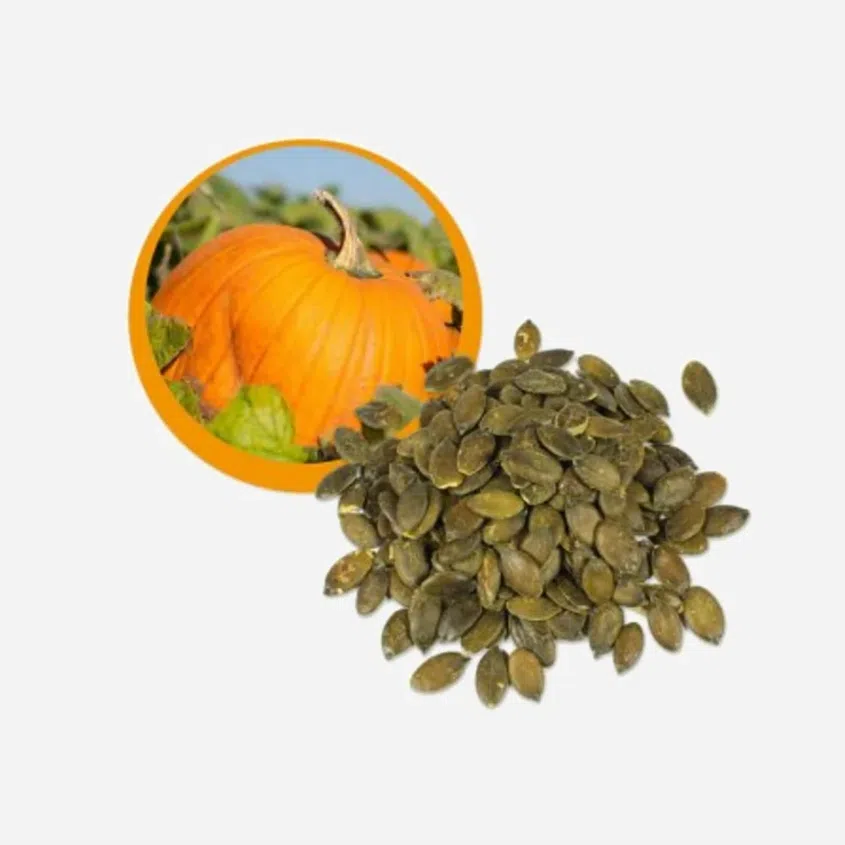 Tekvicové semienko BIO