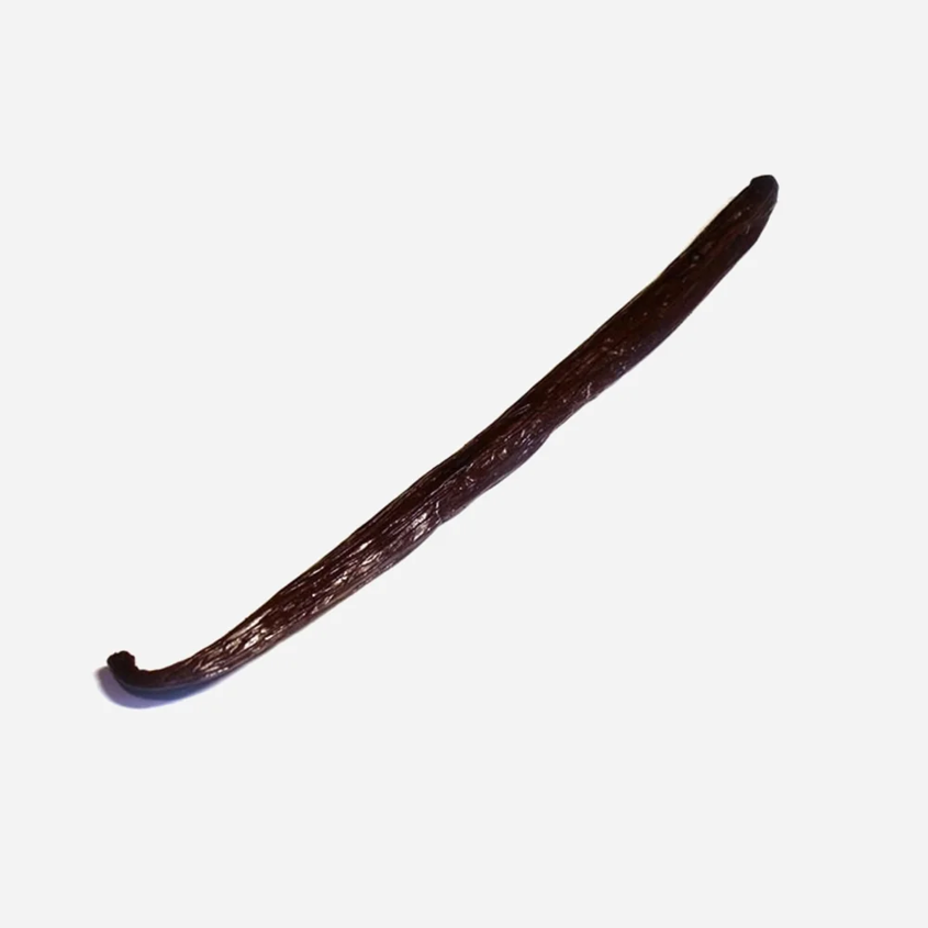 Vanilkový struk Bourbon BIO