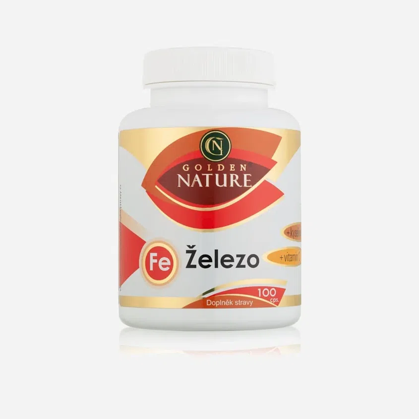 Železo+Vitamín C+Kys. listová 100 tabliet