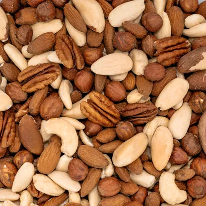 Zmes jadier orechov
